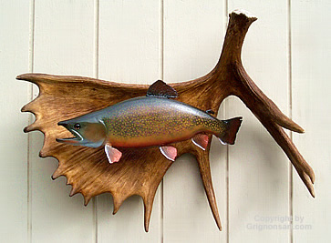 Big Brook Trout Taxidermy by Reimond Grignon