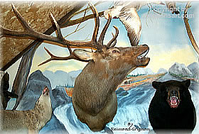 elk Taxidermy by Reimond Grignon