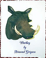 warthog Taxidermy by Reimond Grignon