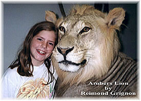 ambers Lion Taxidermy by Reimond Grignon