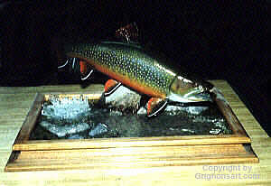Brook Trout Taxidermy by Reimond Grignon