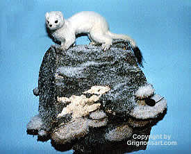 ermine in the winter Taxidermy by Reimond Grignon