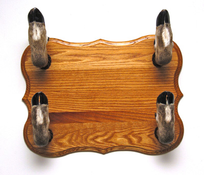 deer feet gunracks