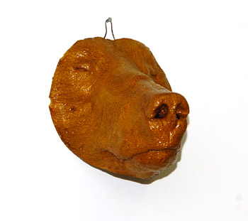 Grizzly Bear Death mask