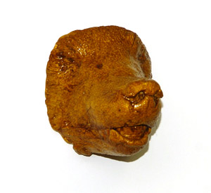 black bear death mask