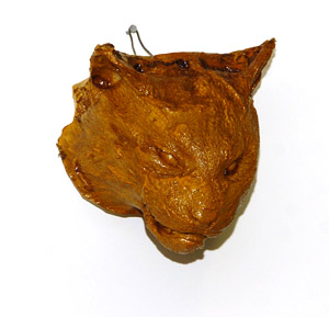 bobcat death mask