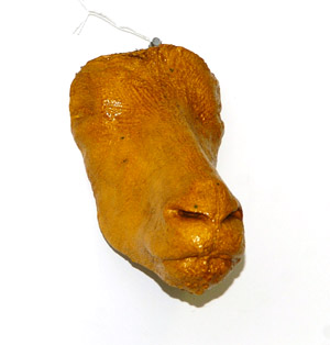 Antelope death mask 