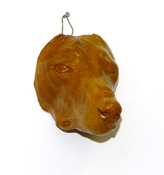 coyote death mask