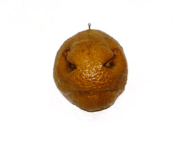 whitetail nose death mask