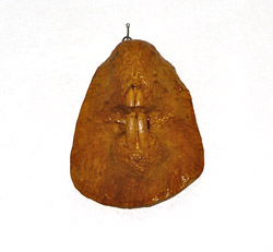 Beaver death mask