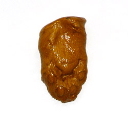 Bobcat Foot