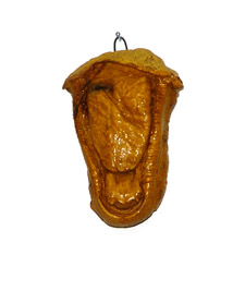 whitetail mouth death mask