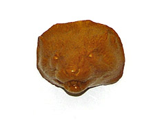mink death mask