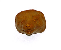 mink death mask
