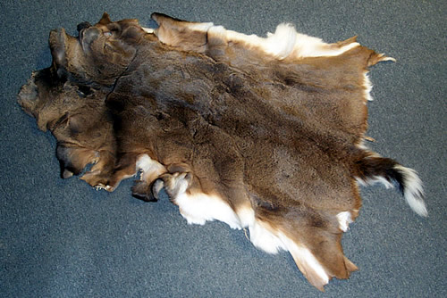 deer pelts