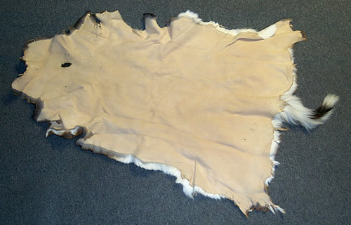 deer hides
