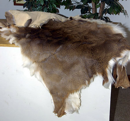 deer hides