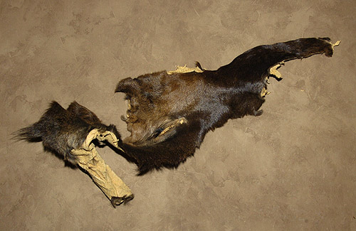 mooseheads for sale