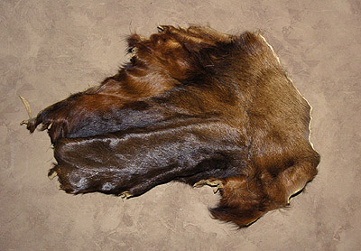 furs for sale