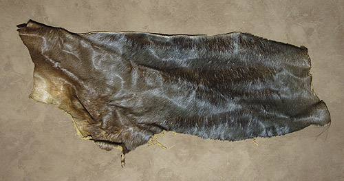 furs for sale