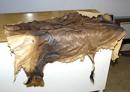 African Furs for sale