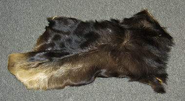 moose hides for sale