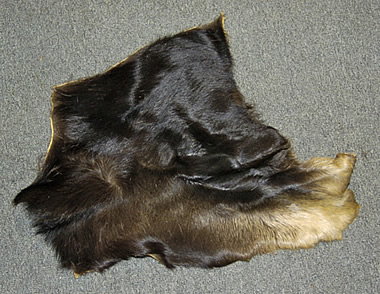 moose hides for sale