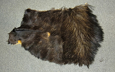 moose hides for sale