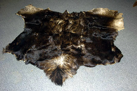 moose hide for sale